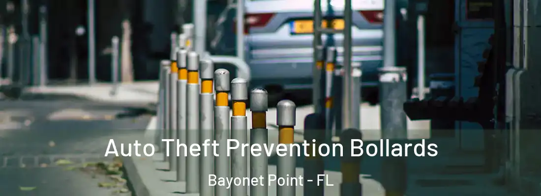  Auto Theft Prevention Bollards Bayonet Point - FL
