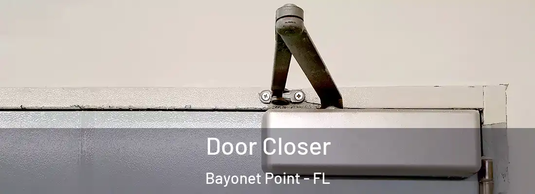 Door Closer Bayonet Point - FL