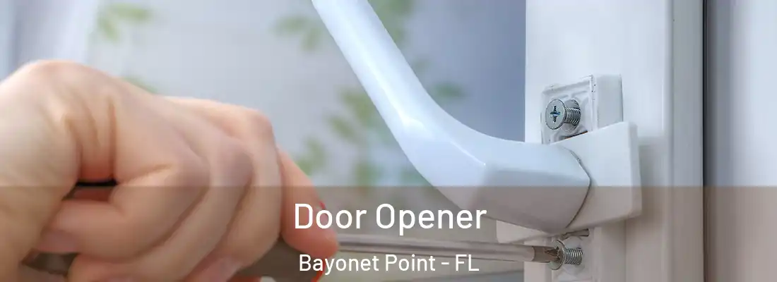 Door Opener Bayonet Point - FL