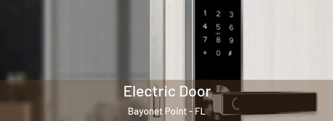 Electric Door Bayonet Point - FL