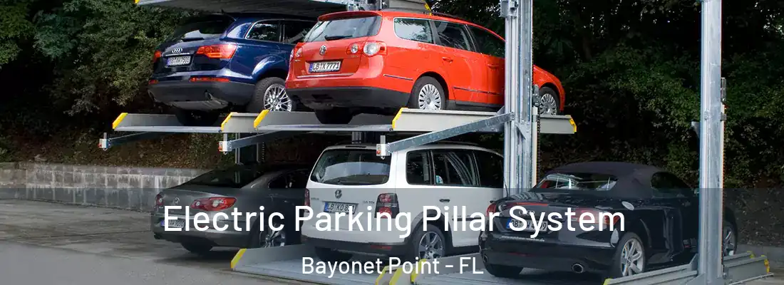  Electric Parking Pillar System Bayonet Point - FL
