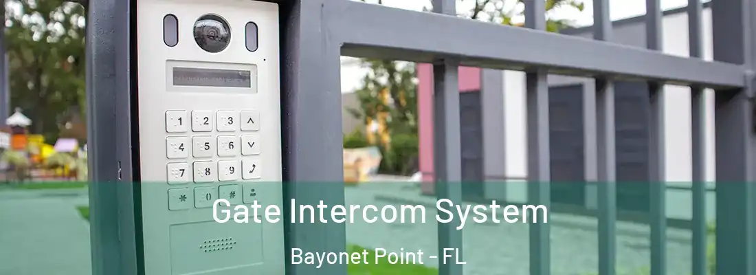  Gate Intercom System Bayonet Point - FL