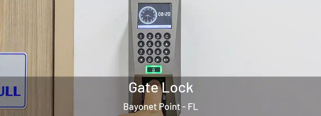  Gate Lock Bayonet Point - FL