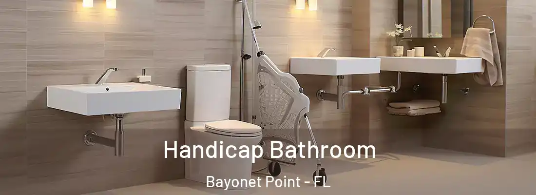Handicap Bathroom Bayonet Point - FL