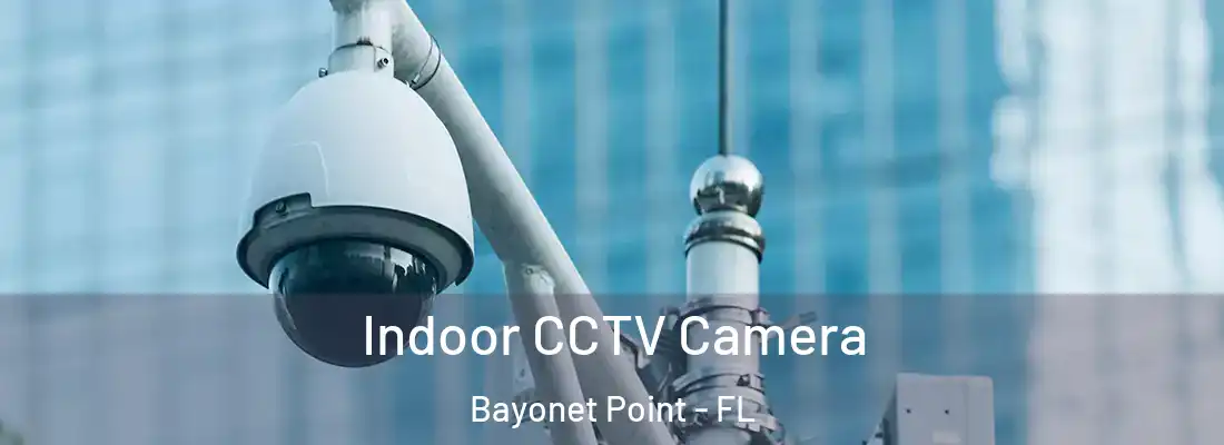 Indoor CCTV Camera Bayonet Point - FL