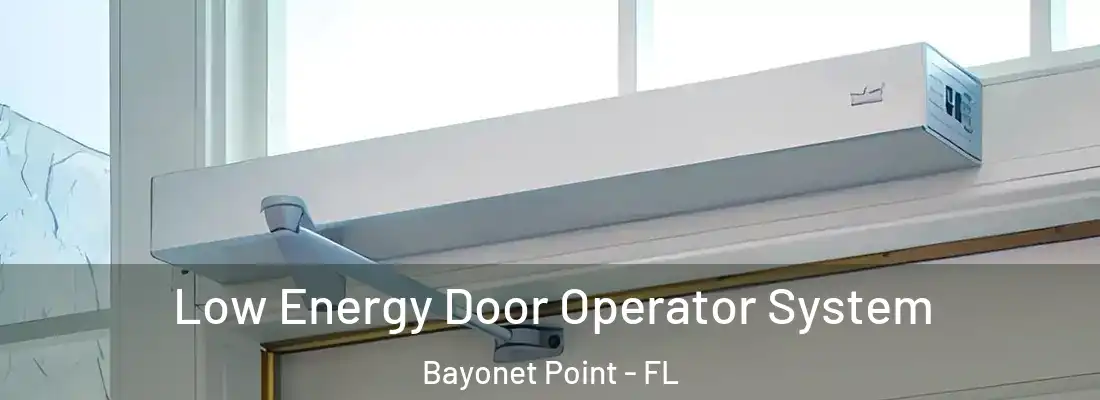  Low Energy Door Operator System Bayonet Point - FL