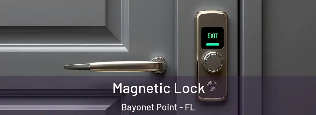 Magnetic Lock Bayonet Point - FL