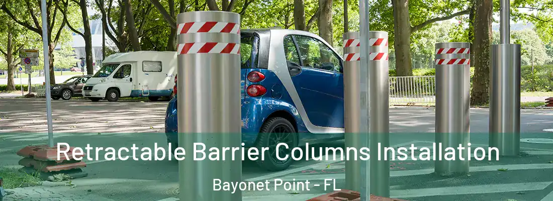  Retractable Barrier Columns Installation Bayonet Point - FL