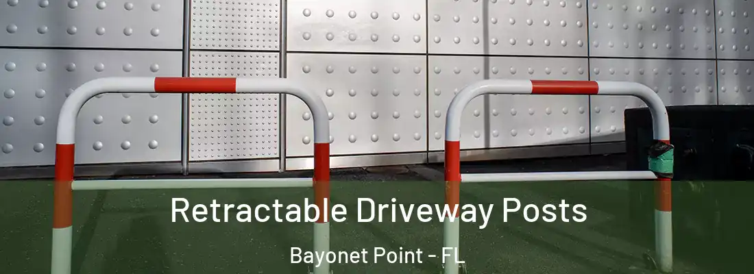  Retractable Driveway Posts Bayonet Point - FL