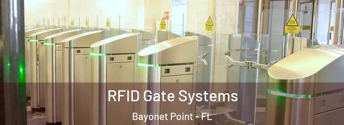  RFID Gate Systems Bayonet Point - FL