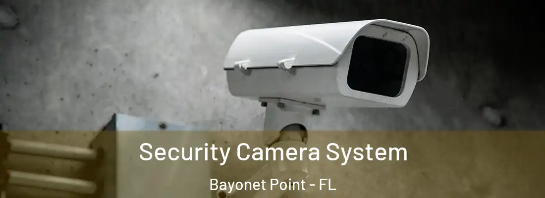  Security Camera System Bayonet Point - FL